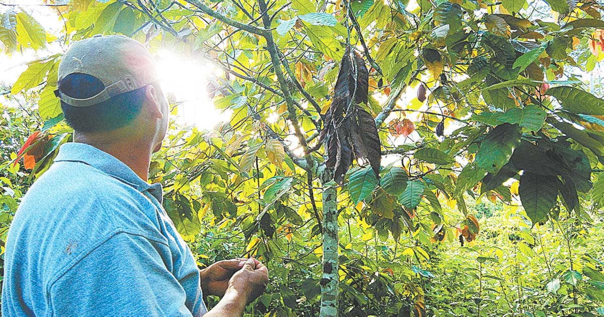 Naturaleza ‘blindada’: Nace una nueva área protegida en Alto Beni