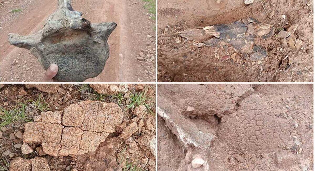 Los fósiles fueron encontrados en la comunidad de Mojo Poco. Foto: Facebook.