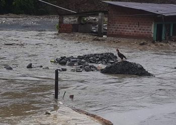 Las riadas se llevan lo que encuentran a su paso. Foto: APG