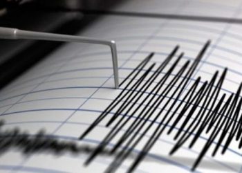 Un terremoto de magnitud sacudió el norte de Japón.