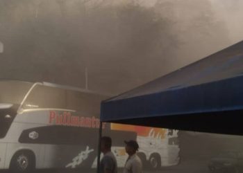 Solo daños materiales han dejado las más de 80 réplicas tras el sismo en El Salvador-Guatemala. Foto: Epicentro GT.