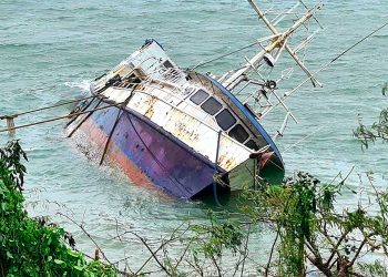 temporal_en_vanuatu.jpg