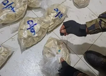 Parte de la droga encontrada en la factoría/Umopar