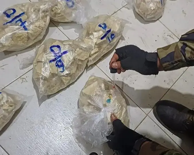 Parte de la droga encontrada en la factoría/Umopar
