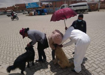 La vacunación