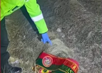 Hallan muertos a subgobernador y mallku en carretera de La Paz