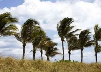alertas