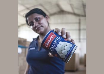 El PALMITO brota con el alza de sus ventas externas