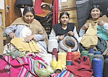 Pese a la crisis, el mercado externo valora la alpaca