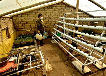 AGRICULTURA URBANA Autoconsumo y oportunidad comercial