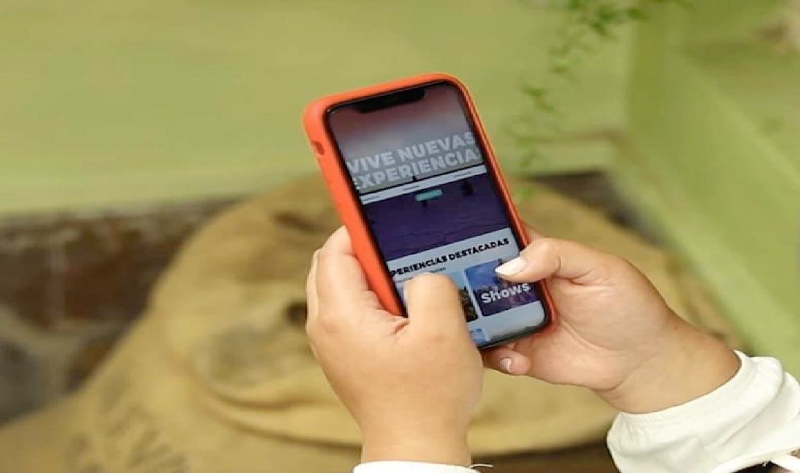 Wiser innova en el mercado turístico