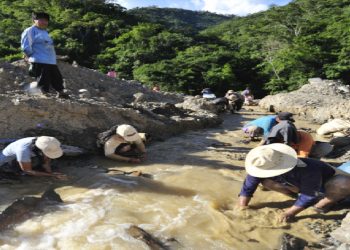 Cómo frenar el CONTRABANDO de oro