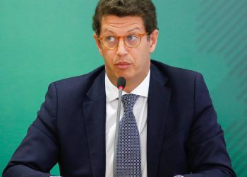 Cae el ministro de Medio Ambiente de Brasil, investigado por tráfico de madera