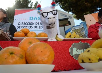 Desde mañana, la Alcaldía de El Alto incorporará la naranja y la mandarina al menú del desayuno escolar.