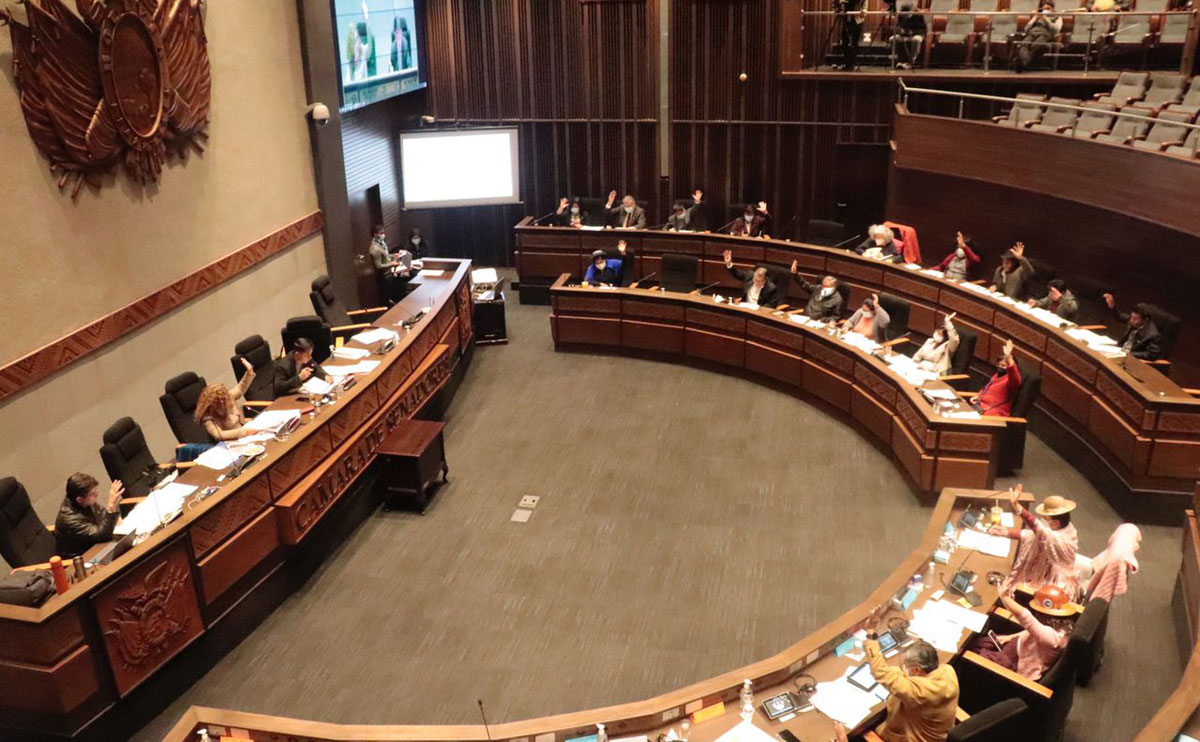 El Senado aprobó la ley del Plan de Desarrollo Económico y Social