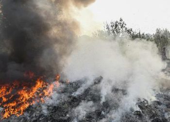 Al menos 26 niños mueren en el incendio de una escuela en Níger