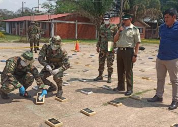 Secuestran en Beni más de 258 kilos de droga con un daño al narcotráfico de más de $us 1,3 MM