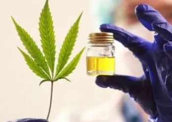 El Congreso de Panamá aprueba el cannabis medicinal
