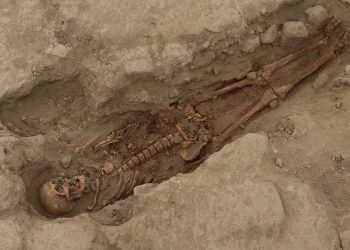 Descubren restos de 29 personas con más de 1.000 años de antigüedad en Perú