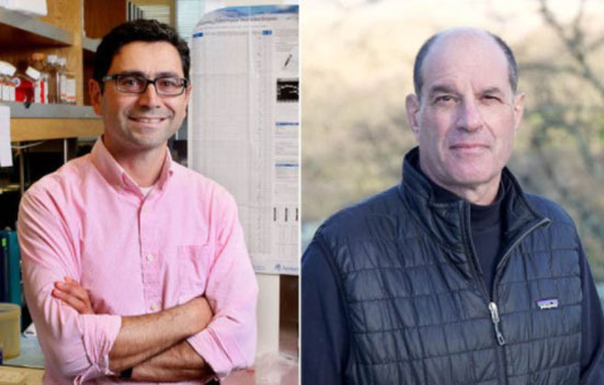 Nobel de Medicina para dos estadounidenses por receptores de temperatura y tacto