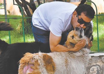 Ferchy, el ángel de los peluditos