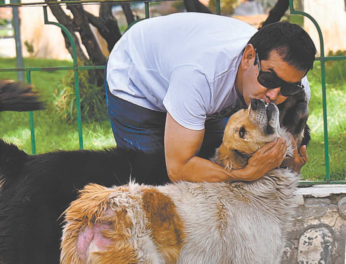 Ferchy, el ángel de los peluditos