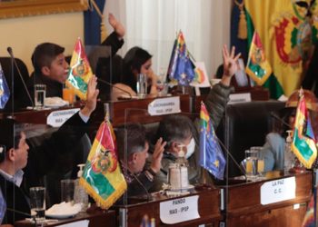 Senado sanciona ley de crédito de $us 109 MM para reponer gastos de bonos pagados por Áñez