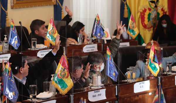 Senado sanciona ley de crédito de $us 109 MM para reponer gastos de bonos pagados por Áñez