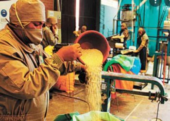 A mayo, Bolivia registra superávit de $us 638 MM, el más elevado en siete años