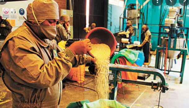 A mayo, Bolivia registra superávit de $us 638 MM, el más elevado en siete años