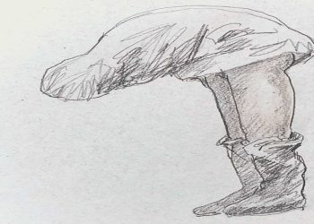 Metagrafías: Dibujos de lo real maravilloso