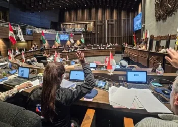 El Senado aprobó el proyecto de ley y lo remitió a diputados/RRSS