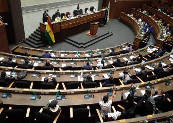 Diputados retoma el debate de la Ley 1386 en medio de la polémica por la exposición de motivos