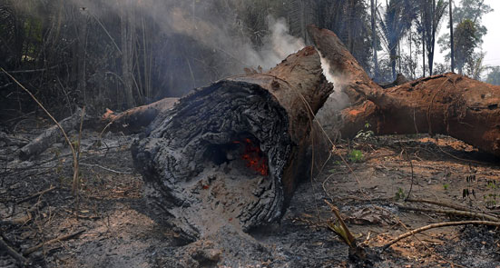 Incendio forestal deja tierra arrasada en provincia argentina