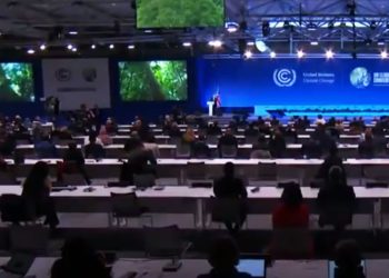 Un centenar de países se comprometen a salvar los bosques en 2030