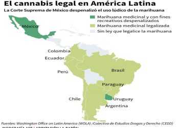 López Obrador vigilará si despenalización de marihuana en México resulta perjudicial