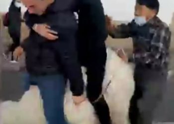 Jóvenes montan una alpaca en Sucre y desatan críticas