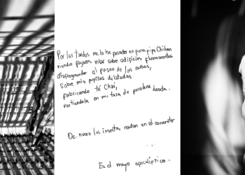 Alcira Angelo reflexiona sobre la construcción de la imagen con su obra ‘Errr’