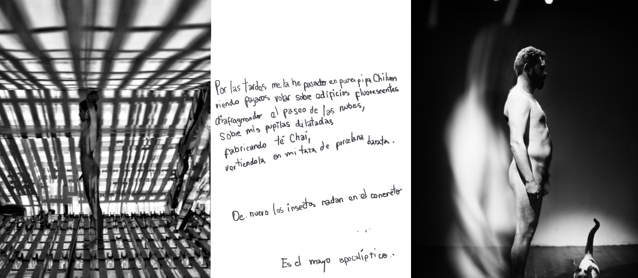 Alcira Angelo reflexiona sobre la construcción de la imagen con su obra ‘Errr’