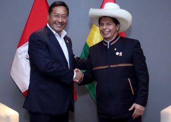 Arce y Castillo acuerdan reunión de gabinete binacional, reactivar el tren bioceánico y cooperación