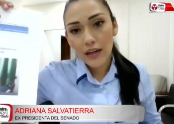 Salvatierra dice que el 10 de noviembre ‘en menos de media hora’ se decidió presidencia de Añez