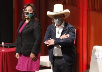 Pedro Castillo descarta copiar ‘modelos’ extranjeros en Perú