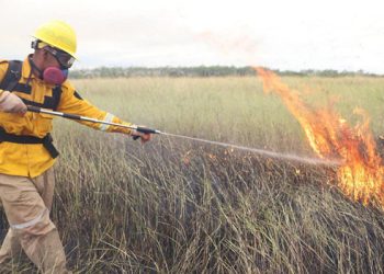 En Santa Cruz declaran ‘alerta roja’ por incendios y reportan 30 municipios con alto riesgo