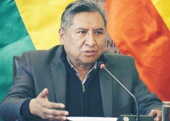 Canciller plantea en la OEA revisar si el organismo ‘cumple sus propósitos y principios’