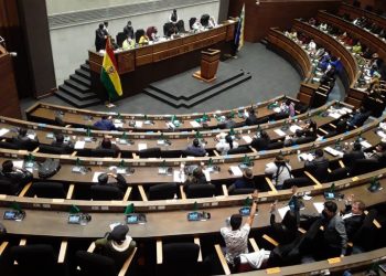 Diputados aprueba proyecto para abrogar Ley 1386 y lo remite al Senado