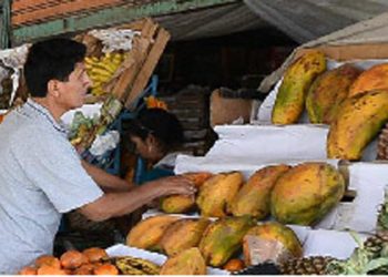 PIB de Perú crece 58,49% interanual en abril