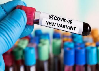 OMS: Harán falta ‘varias semanas’ para comprender mejor la nueva variante del COVID