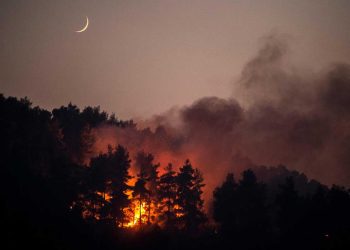 Más de 100.000 hectáreas quemadas en dos semanas de incendios en Grecia