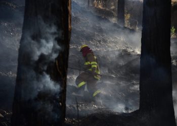 Incendio en el bosquecillo de Pura Pura afecta 6.050 metros cuadrados de área forestal