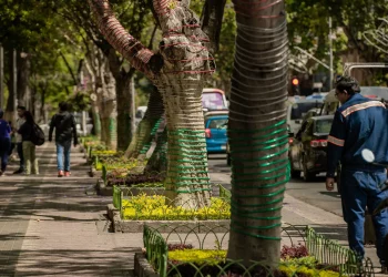 Personal de Alumbrado Público comenzó con la instalación de luces y adornos navideños en el centro de la urbe cocbabambina. FOTO: GAMC